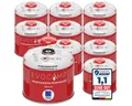 EVOCAMP Gaskartusche Butan Propan 300g, Schraubventil passend für Weber Q100/1200, Zubehör für Campingkocher, Gaskocher, Bunsenbrenner, Lötbrenner, Gasgrill, Gaslampe, 10 St., Einweg, 300 g, EN 417, Sicherheitsventil