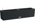Balkonkasten Lechuza Balconera Cottage Kunststoff 80,5 x 20,2 x 21,5 cm graphits