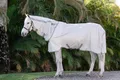 Amigo Integrated Fly Sheet, Silver/Titanium Grey&Silver, 115
