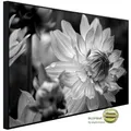 papermoon Infrarotheizung "EcoHeat - Blume Schwarz + Weiss", Matt-Effekt - bunt