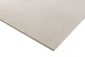 Rigidur Gipsfaserplatte Compact 120 x 60 cm 10 mm