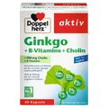 Ginkgo + Vitamin B + Cholin (40 Kapseln)