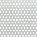 Lochblech Silber eloxiert Lochung rund 250 mm x 500 mm x 0,8 mm