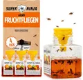 Super Ninja Fruchtfliegenfalle für Innenbereich – 4er-Pack, Wirksame Obstfliegenfalle für Haushalt und Küche, bis zu 3 Wochen Leistung pro Flasche, Kinder-und haustierfreundlich