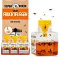 Super Ninja Fruchtfliegenfalle für Innenbereich – 4er-Pack, 4 count, Schwarz 