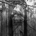 Demersus Ad Nihilum //180703 (Vinyl)