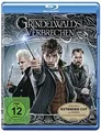 Phantastische Tierwesen: Grindelwalds Verbrechen [... | DVD | Zustand akzeptabel