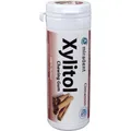 miradent Xylitol Kaugummi 30 Stück Zimt