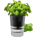 Kräutertopf BOTANICO
