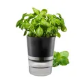 GEFU BOTANICO KRÄutertopf mit Selbstbewässerungssystem - Blumentopf für KRÄuter mit 500ml Wasserreservoir & Wasserstandsanzeige - Automatische Bewässerung für töpfe bis 13cm