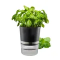 Kräutertopf BOTANICO Kräuter Blumen Topf Selbstbewässerung Küche Blumentopf