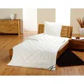 Frankenstolz »kbA Baumwolle« Bettdecken Steppbett / 155x220 cm / 1600g