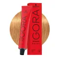 Schwarzkopf Igora Royal 9-55 Extra Helles Goldblond 60ml - Permanente Färbung