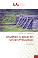 Simulation du calage des ouvrages hydrauliques Solotahina Josvah Andriatsiferana