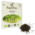 250g BIO Keimsaat Salatrauke Ruca Rauke Rucola Keimsprossen Mikrogrün Keimling Mikrogreens