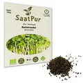 250g BIO Keimsaat für Sprossen Salatrauke Samen Keimsprossen Microgreens Vegan