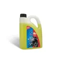 S100 Motorrad Total Reiniger Kunststoffkanister 2 Liter 2031