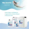 4x 5 L  Algizid Algenverhütung für Pools im Kanister