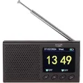 Adler AD 1198 (FM, Bluetooth) (AD 1198)