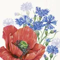 IHR Poppy and Cornflowers Cocktail-Servietten Papierservietten Motiv 25x25 cream