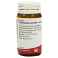 Strophanthus Kombe e semine D 3 Globuli 20 g