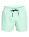 Quiksilver - Everyday Volley 15" Jam/Volley für Männer - Blue Green - XL