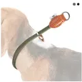 Freudentier Hunde-Halsband mit Zugstopp - Retriever Halsband, 4 verschiedene Größen für kleine, mittelgroße & große Hunde grün XL