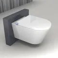 Bernstein Spülrandloses Dusch WC Komplettanlage Gesäßdusche Ladydusche 1102