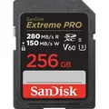 SDSDXEP256GGN4IN - SDHX-Speicherkarte, 256GB