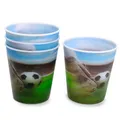 Folat BV Voetbal Cups, 4st.