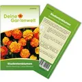 Deine Gartenwelt Studentenblume Tagetes Bonita Mischung Samen