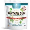 GOLDEN PEANUT Xanthan Gum Pulver 1 kg - Verdickungsmittel stabilisiert, bindend, kalorienarm, ideal für Eisherstellung
