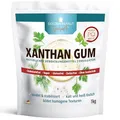 GOLDEN PEANUT Xanthan Gum Pulver 1 kg - Verdickungsmittel stabilisiert, bindend, kalorienarm und glutenfrei, ideal für Eisherstellung