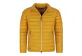 Blue Wave Steppjacke Ivan Herren Jacke Ivan gesteppt mit Stehkragen - Leichte Jacke Daunenoptik