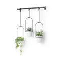 Umbra Triflora Hängeblumentopf für Fenster, Indoor-Kräutergarten, 3er-Set, Weiss/Schwarz