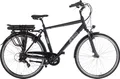AMIGO Elektrische stadträder E-Alvor D2 28 Zoll 53 cm Herren 7G Felgenbremse Mattschwarz