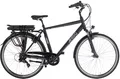 AMIGO Elektrische stadträder E-Alvor D2 28 Zoll 53 cm Herren 7G Felgenbremse Mat