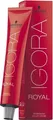 Schwarzkopf Igora Royal 8-0 Hellblond