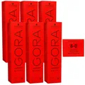Schwarzkopf Igora Royal 6 x 60 ml 8-0 hellblond Haarfarbe Cremefarbe Set
