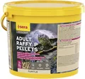 sera Turtle Adult Raffy P Pellets 3,8L (850g) | Hauptfutter für Adulte Carnivore Wasserschildkröten, Schildkrötenfutter | Schildkröten Futter | Proteinreiche Pellets | Wasserschildkröten Futter