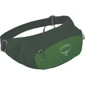 Osprey Daylite Waist Hüfttasche (Größe 2L, gruen)
