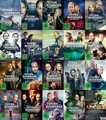 2014 – 2024 - DIE TOTEN VOM BODENSEE 1- 19 Matthias Koeberlin DVD Collection NEU