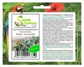 5x Faucaria felina Zwergsukkulente Zimmer Garten Pflanzen - Samen B1480