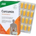 Salus Curcumin 202 Bioaktiv Kapseln 60 St