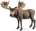 SCHLEICH WILD Life | Elch Bulle 14781 | detailgetreue Tierfiguren | Zoo Spielzeug | Geschenk für Jungen & Mädchen | Deko für Geburtstag & schöne Sammelfigur | Spielfigur ab 3 Jahren | 13 x 7 x 11 cm