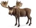 Schleich Elch Bulle 14781