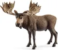 GW8077 schleich 14781 Elch Bulle