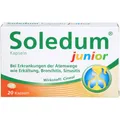 SOLEDUM Kapseln junior 100 mg 20 St PZN 10315957