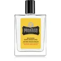Proraso Wood and Spice hydratisierendes After Shave Balsam 100 ml