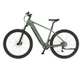 Tchibo - Fischer MTB E-Bike Montis Move 01 474 D - grün